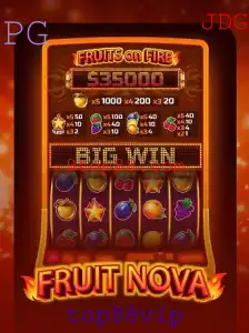 Descobrindo o Fascinante Mundo de FruitNova