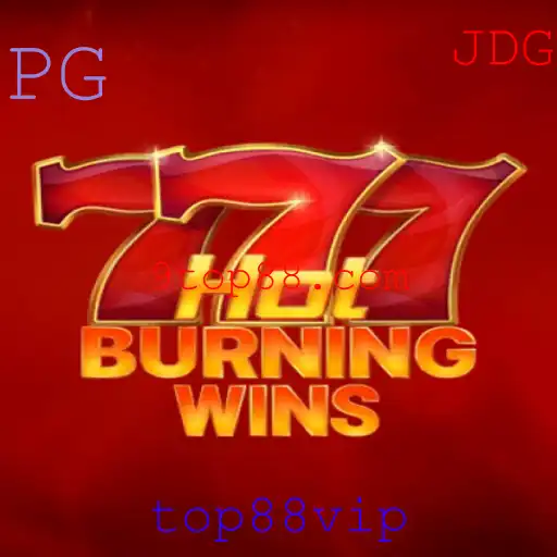 Descubra o Emoção do Jogo HotBurningWins