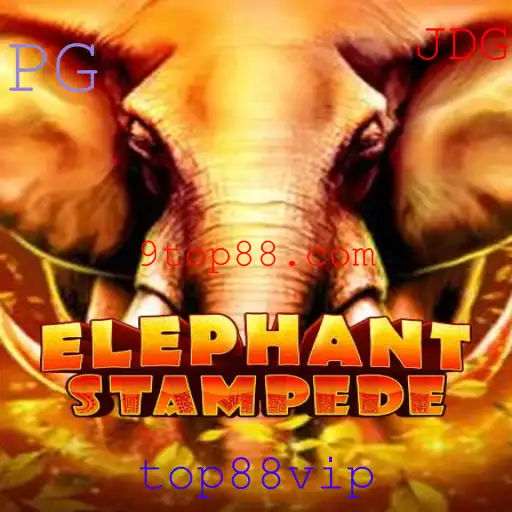 ElephantStampede: Um Mergulho no Mundo Vibrante dos Jogos Digitais